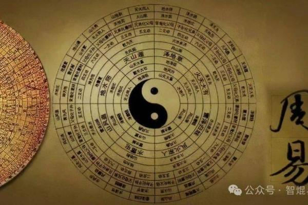 理想中的八字命理学是什么 理想状态下的八字命理学概念