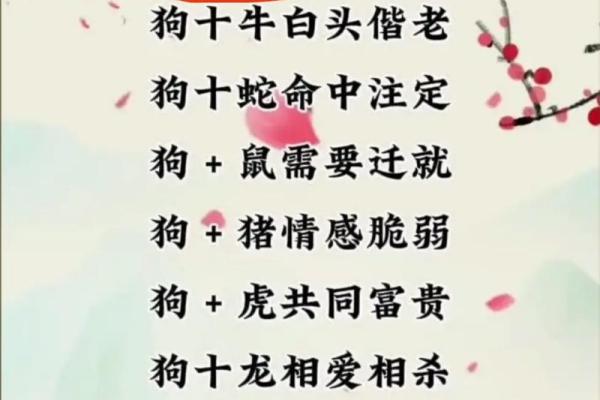 鸡属虎和属狗相配(鸡与虎狗生肖的配对关系)