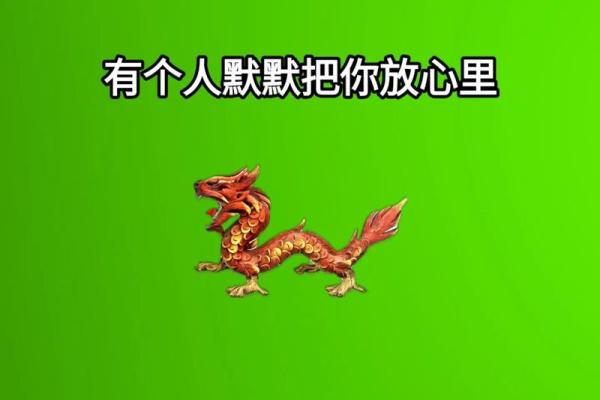 龙女什么属象相配(龙女与哪些属相最合适)