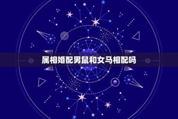 老公属马属鼠相配吗(老公属马与我属鼠的配对情况如何)