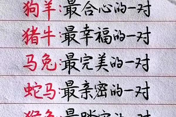 90年属马女与属龙男相配吗,90年马女和龙男的契合度如何