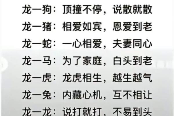 90年属马女与属龙男相配吗,90年马女和龙男的契合度如何