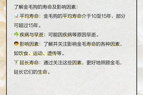 金毛生辰八字命理分析 金毛的生辰八字与命运关系