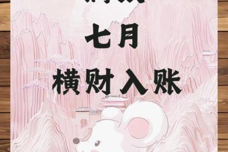 2008年属鼠的寿命多少,2008年出生鼠年人的平均寿命如何