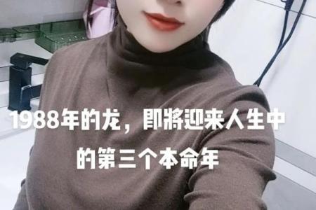 1988属龙的人婚姻如何,1988年属龙人婚姻状况如何