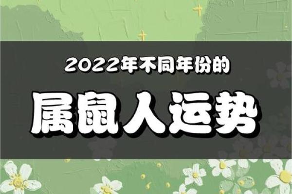 2022年属鼠的不同年份,2022年鼠年与其他年份的比较