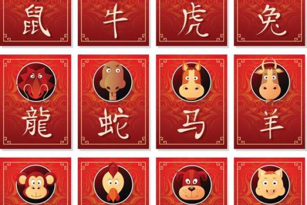 2022年属鼠的不同年份,2022年鼠年与其他年份的比较