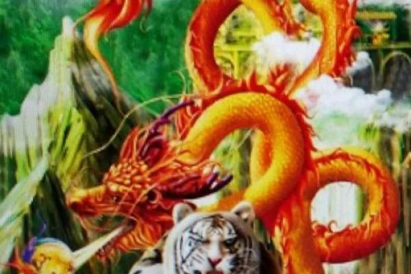 龙跟属虎相配吗(龙与属虎的配对情况如何)