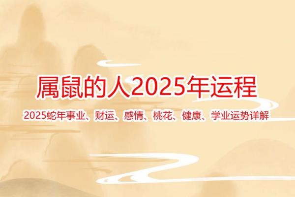 1948年生肖鼠婚姻运势,1948年属鼠人士的婚姻运势情况