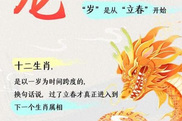 2008年属龙几岁,2008年出生的龙年人年龄是多少