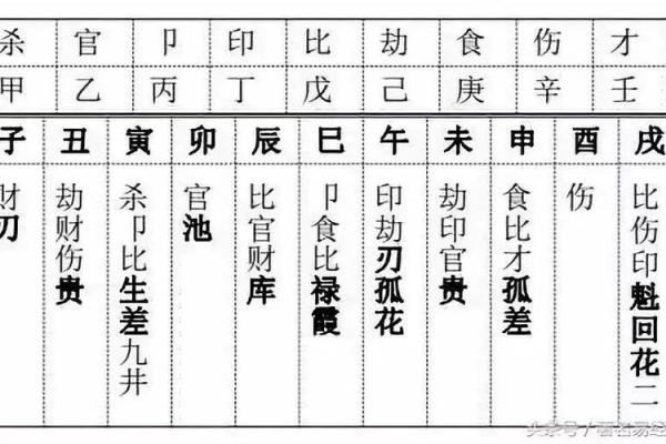 方舟八字命理周易预测大全 方舟八字命理与周易预测全览