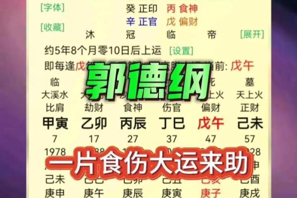郭德纲经典八字命理书 郭德纲经典八字命理宝典