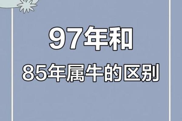 97年属牛女和狗男相配(97年牛女与狗男的契合度)