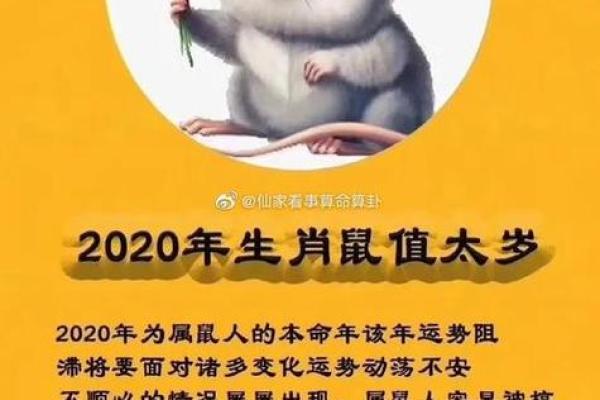 2000年2月3日生肖鼠,2000年2月3日出生属鼠的人士信息