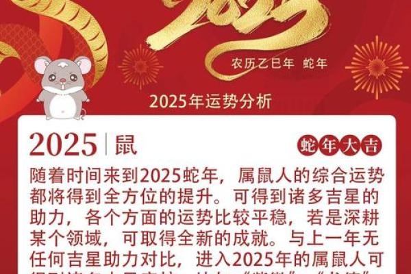 93年属鼠的命运,1993年出生鼠年的命运走势