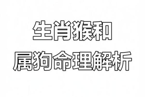男生属猴和属狗相配(男生属猴与属狗的缘分和匹配)